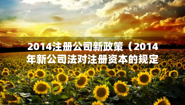 2014注冊(cè)公司新政策（2014年新公司法對(duì)注冊(cè)資本的規(guī)定）