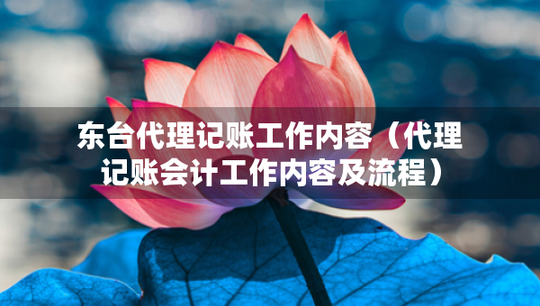 東臺(tái)代理記賬工作內(nèi)容（代理記賬會(huì)計(jì)工作內(nèi)容及流程）