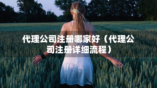 代理公司注冊(cè)哪家好（代理公司注冊(cè)詳細(xì)流程）