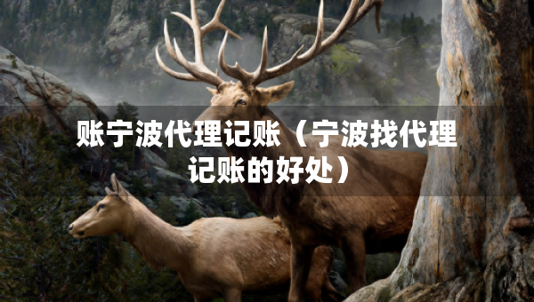 賬寧波代理記賬（寧波找代理記賬的好處）
