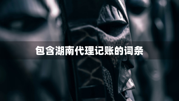 包含湖南代理記賬的詞條