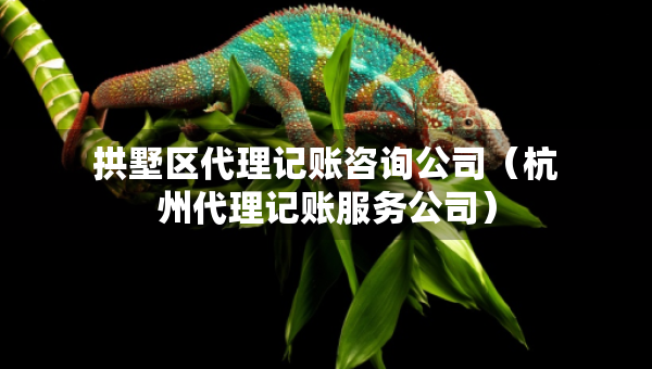 拱墅區(qū)代理記賬咨詢公司（杭州代理記賬服務(wù)公司）