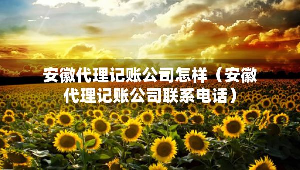 安徽代理記賬公司怎樣（安徽代理記賬公司聯系電話）