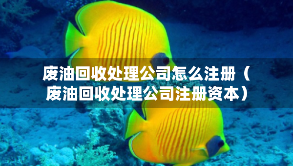 廢油回收處理公司怎么注冊（廢油回收處理公司注冊資本）