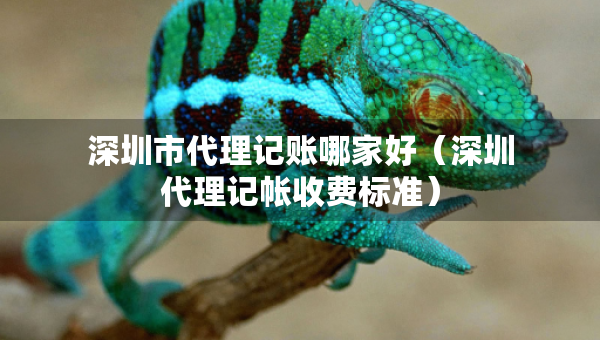 深圳市代理記賬哪家好（深圳代理記帳收費標準）