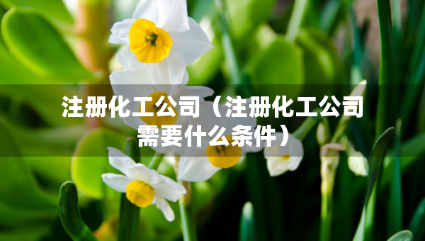 注冊化工公司（注冊化工公司需要什么條件）