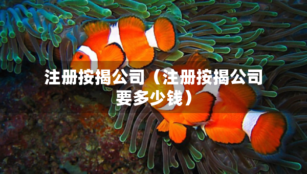 注冊(cè)按揭公司（注冊(cè)按揭公司要多少錢）
