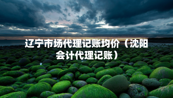 遼寧市場(chǎng)代理記賬均價(jià)（沈陽(yáng)會(huì)計(jì)代理記賬）