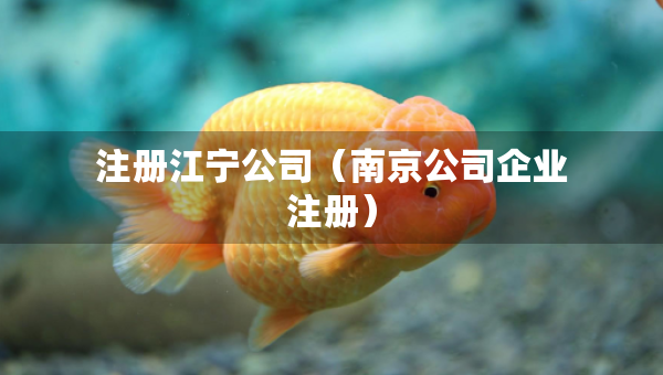 注冊(cè)江寧公司（南京公司企業(yè)注冊(cè)）