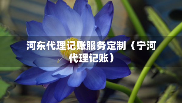 河?xùn)|代理記賬服務(wù)定制（寧河代理記賬）