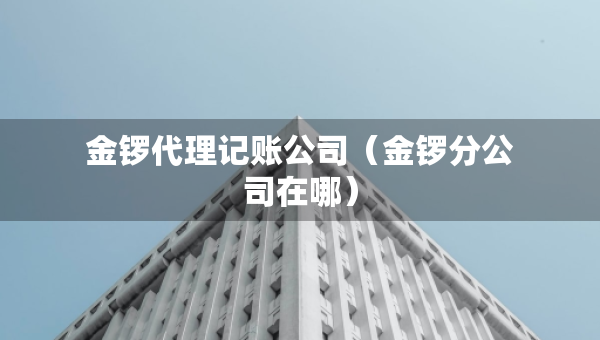 金鑼代理記賬公司（金鑼分公司在哪）