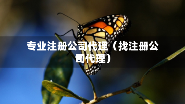 專(zhuān)業(yè)注冊(cè)公司代理（找注冊(cè)公司代理）