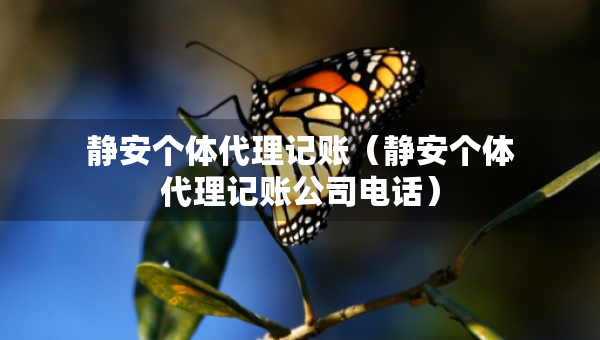 靜安個(gè)體代理記賬（靜安個(gè)體代理記賬公司電話）