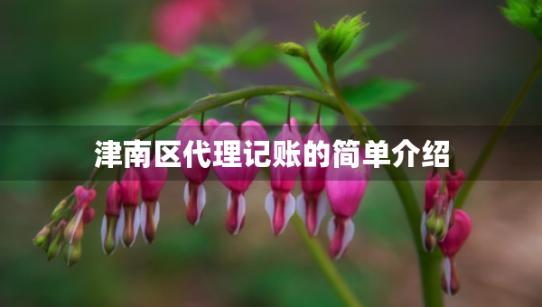 津南區(qū)代理記賬的簡單介紹