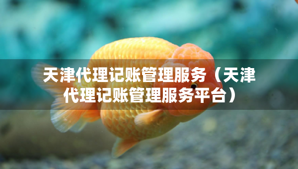 天津代理記賬管理服務(wù)（天津代理記賬管理服務(wù)平臺）