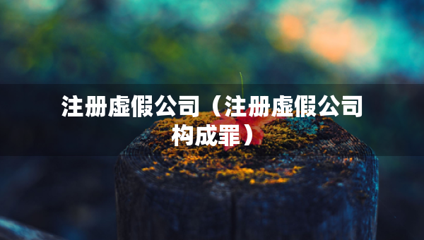 注冊(cè)虛假公司（注冊(cè)虛假公司構(gòu)成罪）