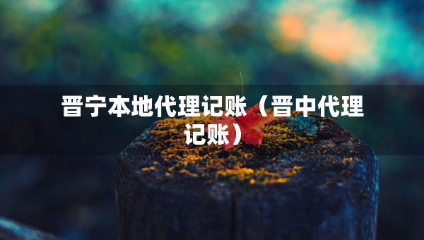 晉寧本地代理記賬（晉中代理記賬）