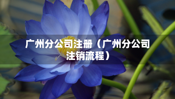 廣州分公司注冊（廣州分公司注銷流程）