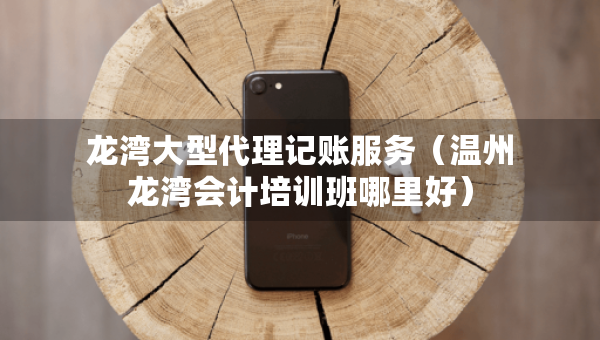 龍灣大型代理記賬服務(wù)（溫州龍灣會(huì)計(jì)培訓(xùn)班哪里好）