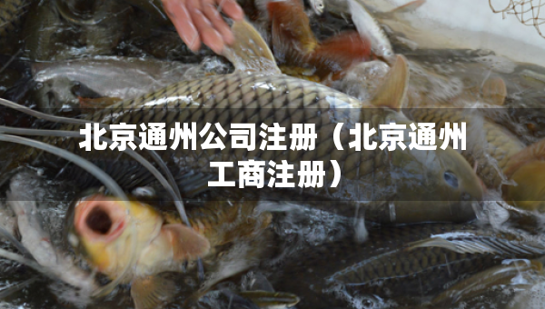 北京通州公司注冊（北京通州工商注冊）