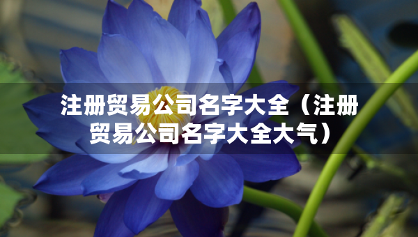 注冊貿(mào)易公司名字大全（注冊貿(mào)易公司名字大全大氣）