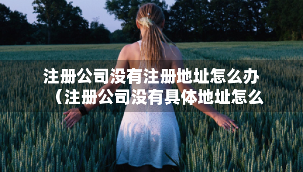 注冊(cè)公司沒有注冊(cè)地址怎么辦（注冊(cè)公司沒有具體地址怎么辦）