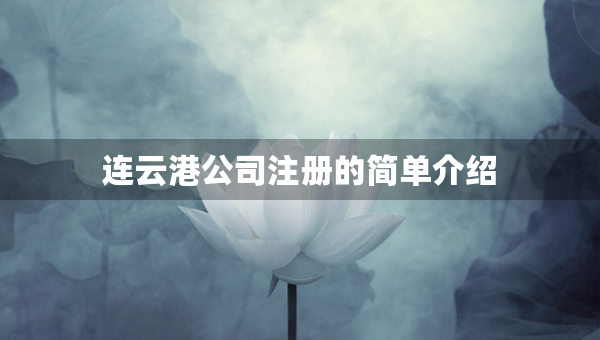 連云港公司注冊的簡單介紹