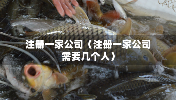 注冊一家公司（注冊一家公司需要幾個人）