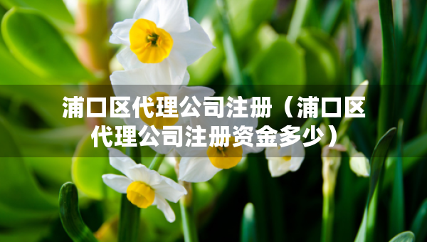 浦口區(qū)代理公司注冊(cè)（浦口區(qū)代理公司注冊(cè)資金多少）