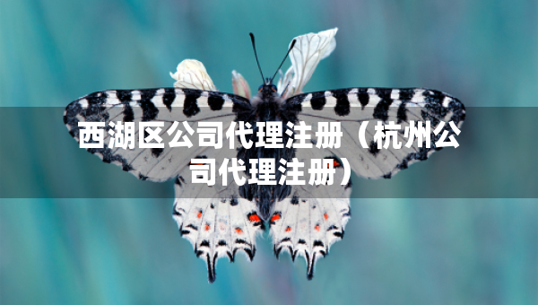 西湖區(qū)公司代理注冊（杭州公司代理注冊）