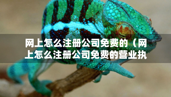 網(wǎng)上怎么注冊公司免費的（網(wǎng)上怎么注冊公司免費的營業(yè)執(zhí)照）