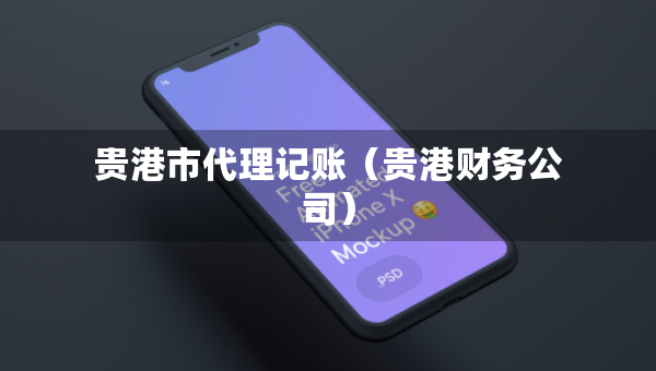貴港市代理記賬（貴港財(cái)務(wù)公司）