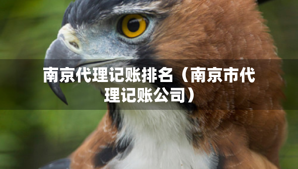 南京代理記賬排名（南京市代理記賬公司）