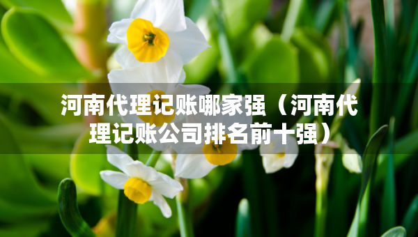 河南代理記賬哪家強（河南代理記賬公司排名前十強）