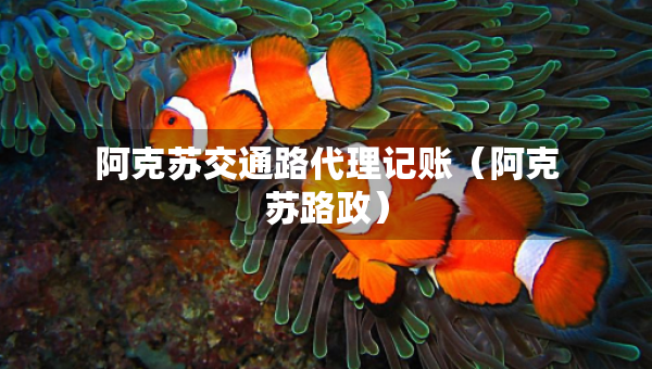 阿克蘇交通路代理記賬（阿克蘇路政）
