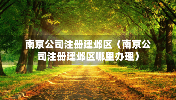 南京公司注冊(cè)建鄴區(qū)（南京公司注冊(cè)建鄴區(qū)哪里辦理）