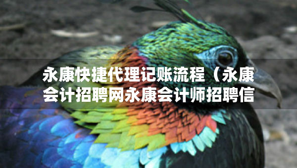 永康快捷代理記賬流程（永康會計(jì)招聘網(wǎng)永康會計(jì)師招聘信息）