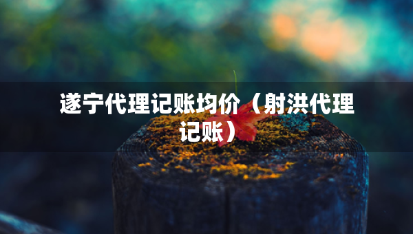 遂寧代理記賬均價(jià)（射洪代理記賬）