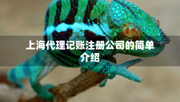 上海代理記賬注冊公司的簡單介紹