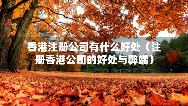 香港注冊(cè)公司有什么好處（注冊(cè)香港公司的好處與弊端）