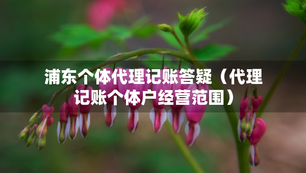 浦東個(gè)體代理記賬答疑（代理記賬個(gè)體戶經(jīng)營(yíng)范圍）
