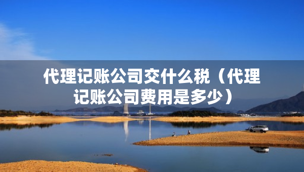 代理記賬公司交什么稅（代理記賬公司費(fèi)用是多少）