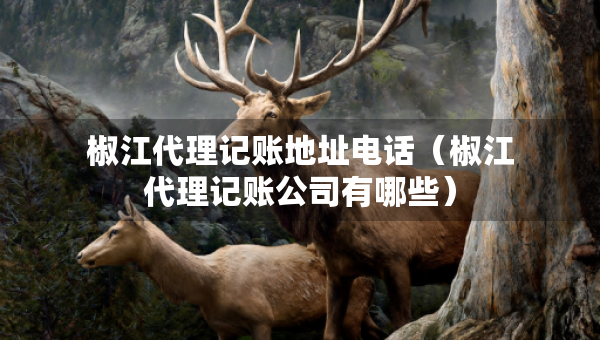 椒江代理記賬地址電話（椒江代理記賬公司有哪些）