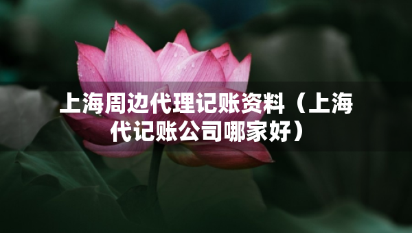 上海周邊代理記賬資料（上海代記賬公司哪家好）