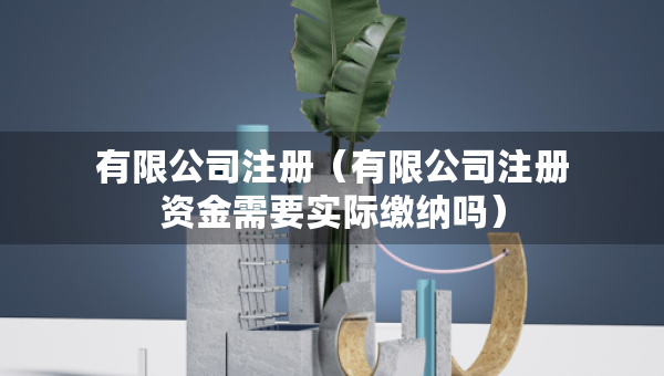 有限公司注冊(cè)（有限公司注冊(cè)資金需要實(shí)際繳納嗎）