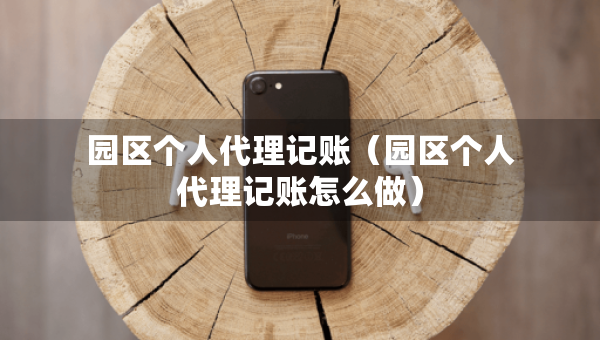 園區(qū)個(gè)人代理記賬（園區(qū)個(gè)人代理記賬怎么做）