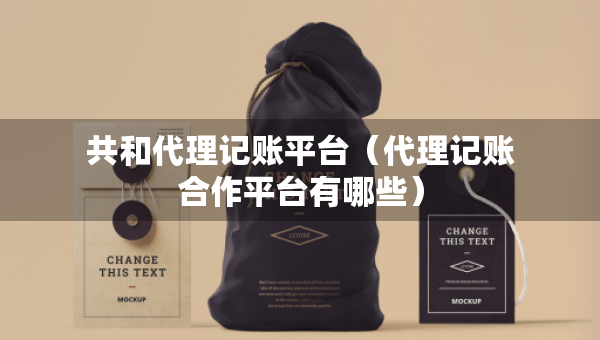共和代理記賬平臺（代理記賬合作平臺有哪些）