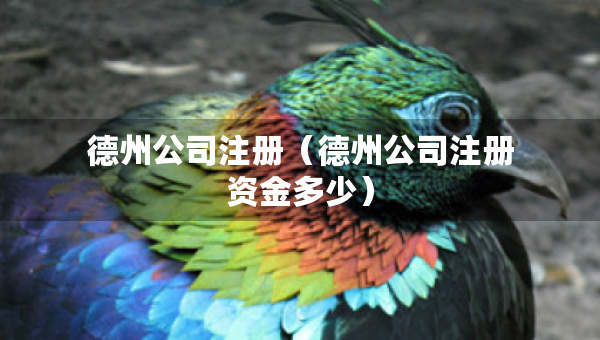 德州公司注冊（德州公司注冊資金多少）