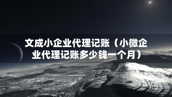 文成小企業(yè)代理記賬（小微企業(yè)代理記賬多少錢一個月）