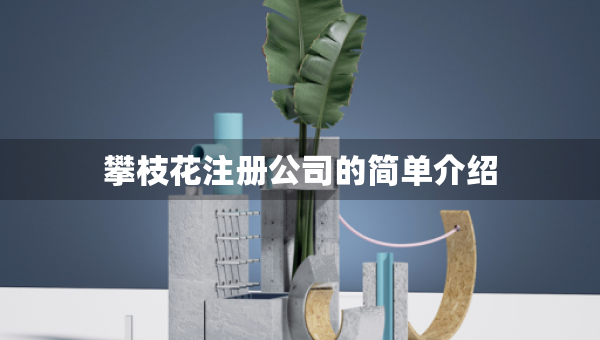 攀枝花注冊公司的簡單介紹